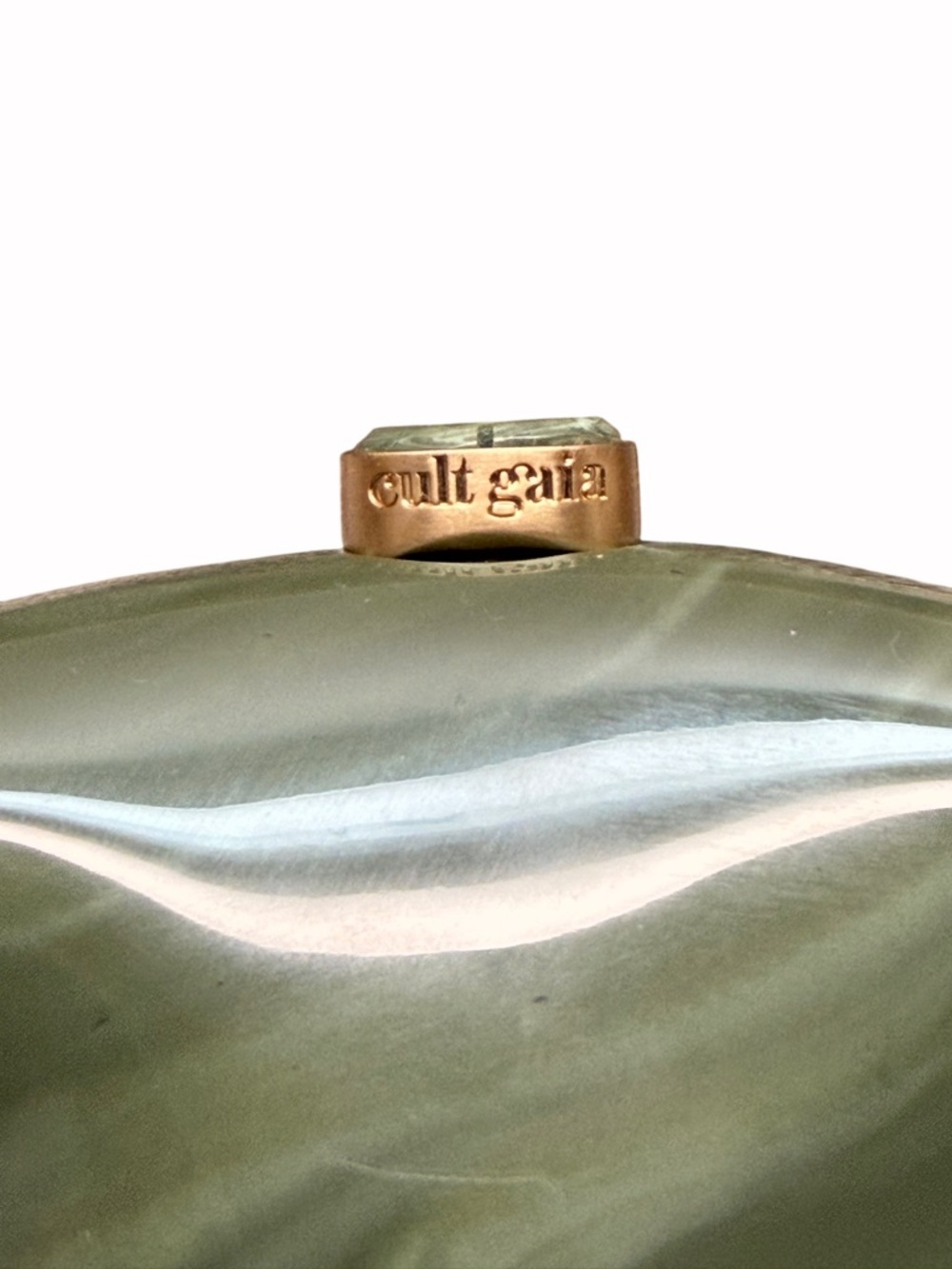 Price Firm - CULT GAIA  Caldera Clutch in Rosemary - Picture 9 of 12